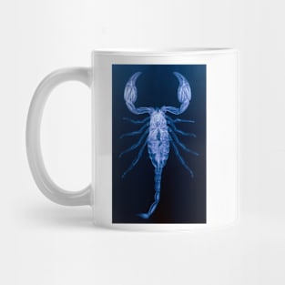 X-ray of the scorpion, Palamnaeus fulvipes (Z420/0010) Mug